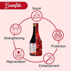 Platnecer IB (Platelet Enhancer Syrup)