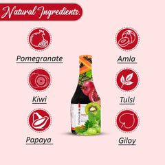 Platnecer IB (Platelet Enhancer Syrup)